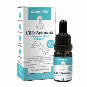 Huile de CBD pour chien 10%